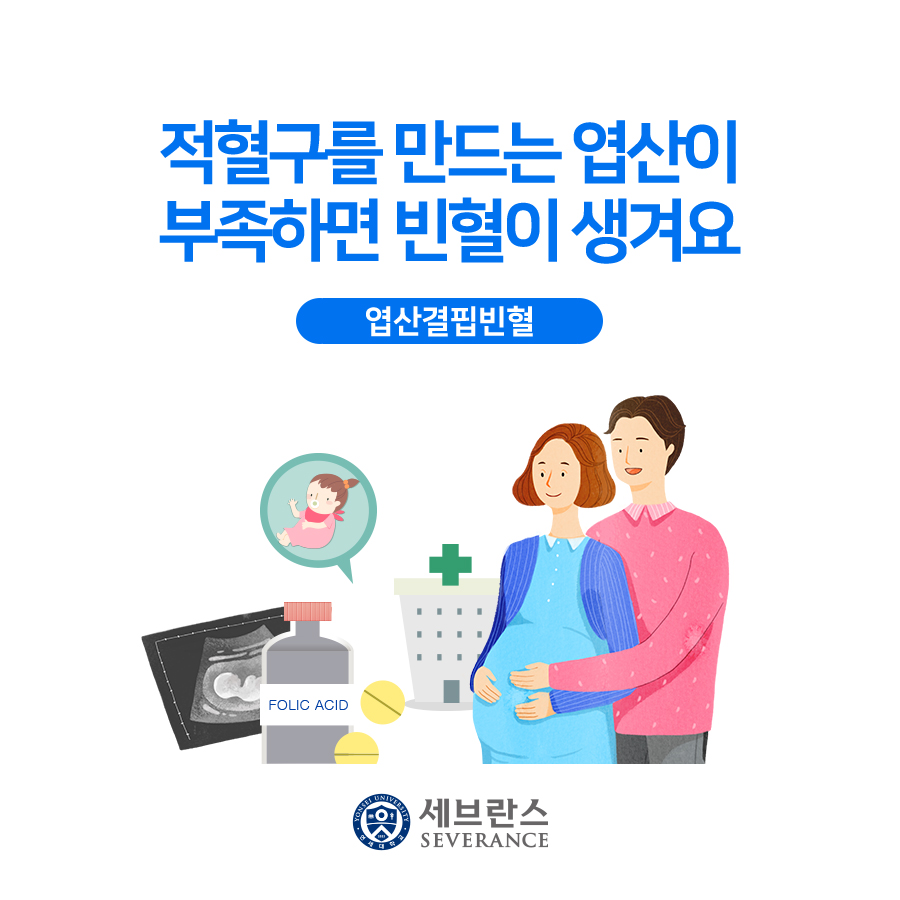 적혈구를 만드는 엽산이 부족하면 빈혈이 생겨요. 엽산결핍빈혈